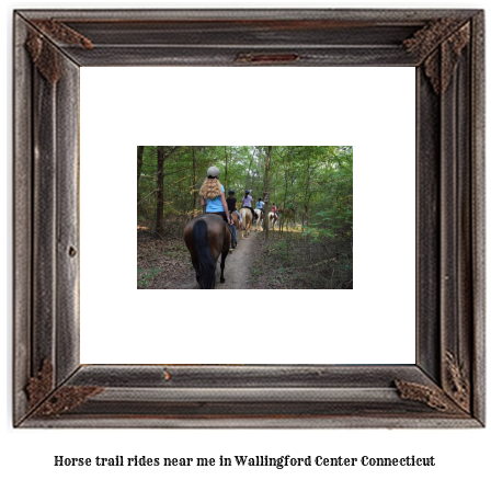 horse trail rides near me in Wallingford Center, Connecticut